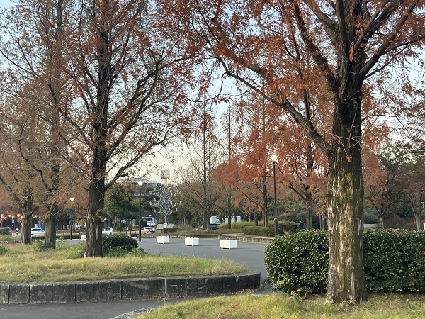 周辺施設画像イメージ